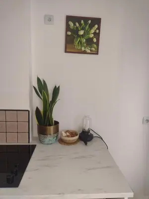 a table with a plant and a picture on the wall at Joanna in Kraków