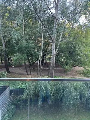 a view from a window of a park with trees at Appartement Nowa Huta in Kraków