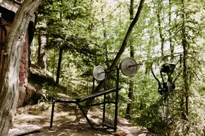 a clock sitting in the middle of a forest at Przystań 545 in Rożnów