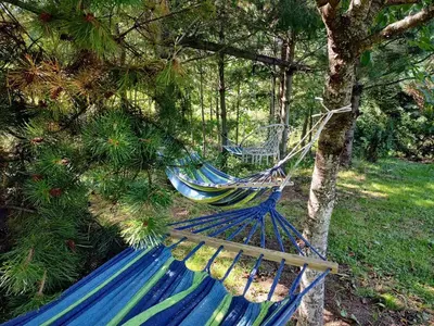 a blue hammock sitting next to a tree at Beskidzka Ostoja in Koszarawa