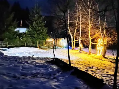 a snow covered yard at night with trees and lights at Beskidzka Ostoja in Koszarawa