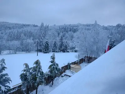a view of a snow covered yard with trees at Beskidzka Ostoja in Koszarawa