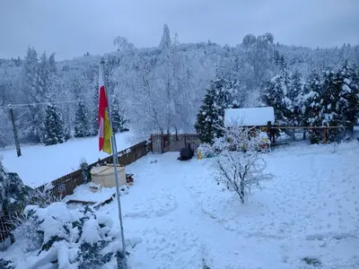 a flag in a yard covered in snow at Beskidzka Ostoja in Koszarawa