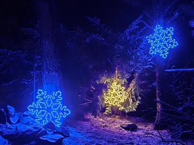 a forest decorated with christmas lights at night at Beskidzka Ostoja in Koszarawa