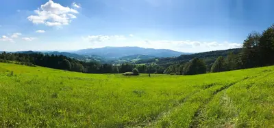 a field of green grass with mountains in the background at OSADA WASYLÓWKA in Laskowa