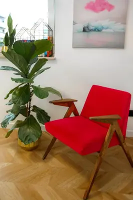 a red chair and a plant in a room at Bochenka Apartments in Kraków