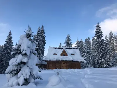 a snow covered log cabin in a snowy forest at Domek na Cepcowym in Obidowa