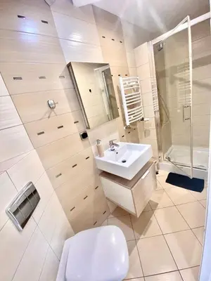 a bathroom with a toilet and a sink and a shower at SKALNY apartamenty, pokoje in Ogrodzieniec