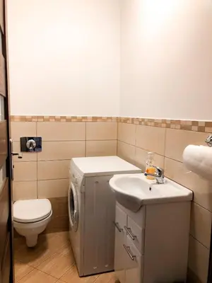 a bathroom with a washing machine and a sink at Dom u Kasi in Podwilk