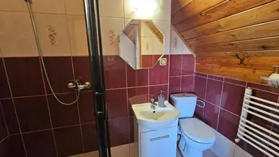 a bathroom with a toilet and a sink at Agroturystyka na szlaku in Lubomierz