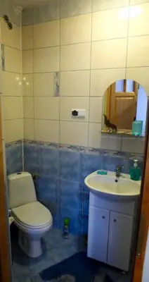 a bathroom with a toilet and a sink at Willa Modrysówka in Zawoja