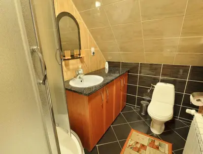 a bathroom with a sink and a toilet and a mirror at Willa Modrysówka in Zawoja