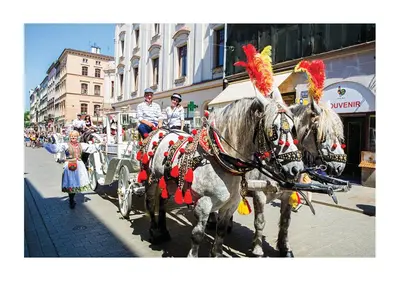 two horses are pulling a carriage in a parade at Aparthotel Grodzka 21 Self-Check in in Kraków