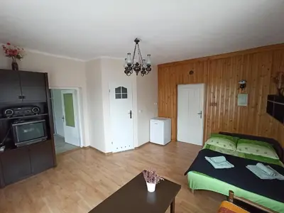 a living room with a bed and a tv at Apartament-studio, pokoje u Lucy in Rabka
