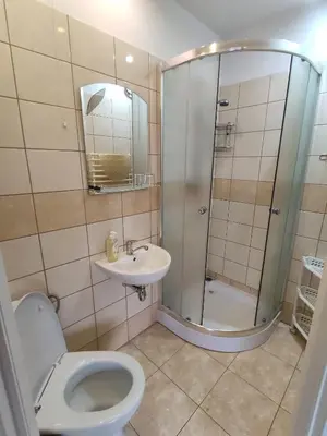 a bathroom with a shower and a toilet and a sink at Apartament-studio, pokoje u Lucy in Rabka