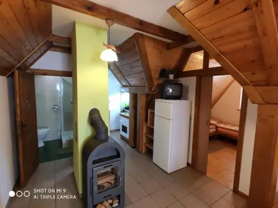 a kitchen with a wood stove in a room at Apartament-studio, pokoje u Lucy in Rabka