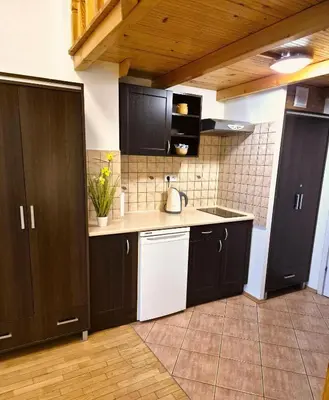 a kitchen with black cabinets and a white appliance at Safona - Pantheon Apartments in Kraków