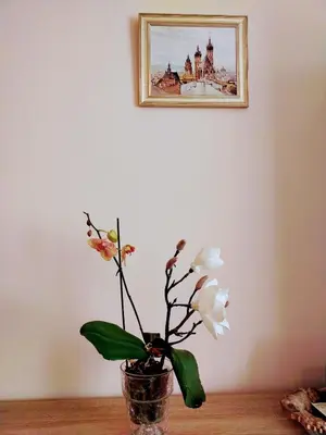 a vase with flowers on a table with a picture on the wall at Piast Apartament in Kraków