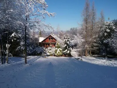 a log cabin in a snow covered forest at Amigówka in Wieliczka