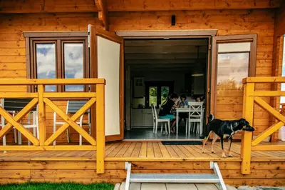 a dog standing on the front porch of a wooden house at Cztery Pliszki in Zawoja