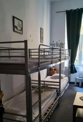 two bunk beds in a room with a window at Green Cat Rooms in Kraków