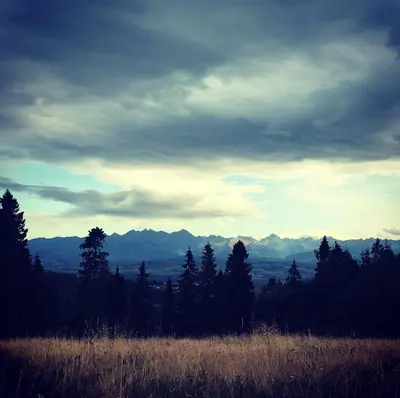 a view of a field with trees and mountains at Hotel Restauracja U Guta in Klikuszowa