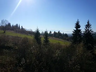 a green field with trees on a hill at Hotel Restauracja U Guta in Klikuszowa