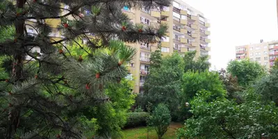 a tall apartment building with trees in front of it at Pokoje Gościnne in Kraków