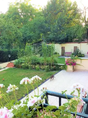 a dog standing in a yard with a garden at Apartament Amaryllis in Kraków