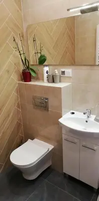 a bathroom with a toilet and a sink at Lion Apartment in Andrychów
