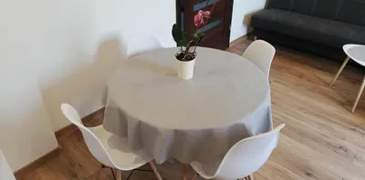 a white table with a potted plant on top of it at Lion Apartment in Andrychów