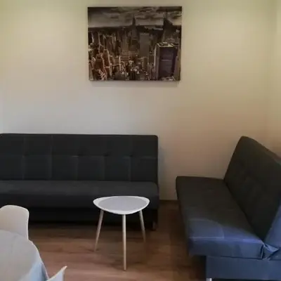 Lion Apartment