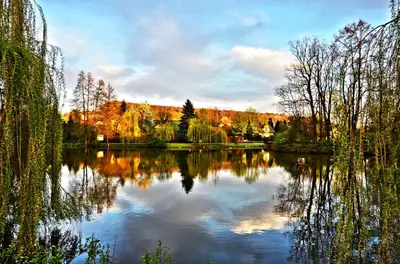 a view of a lake with trees reflecting in it at Apartamenty Centrum in Andrychów