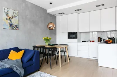 a kitchen and dining room with a blue couch and a table at Otium Old Town Harmonica in Kraków