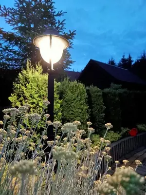 a lamp post in a garden with flowers at Apartament Leszczynowa 7 blisko Zatora in Spytkowice