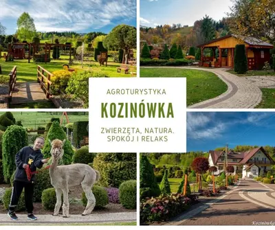 a collage of photos with a man and a llama at Kozinówka in Zawoja