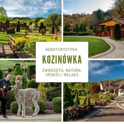 Kozinówka
