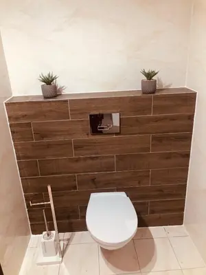 a bathroom with a toilet with two plants on it at Noclegi u Majki in Zator