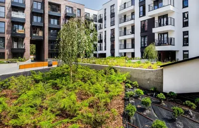 a garden in the middle of a city with buildings at Marvels Place with parking and AC in Kraków