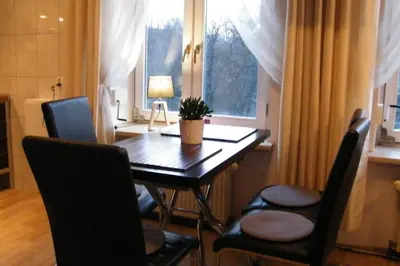a dining room table and chairs with a plant on it at Komfortowy apartament - obok Rynku in Kraków