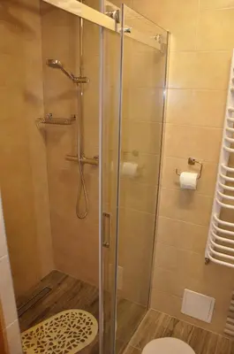 a bathroom with a toilet and a sink at Willa Wiktoria in Zawoja