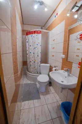 a bathroom with a toilet and a sink at Wiśniowy Gaj in Ujanowice