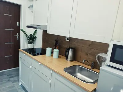 a kitchen counter with a sink and a microwave at ZŁOTA PASIEKA Zator Przeciszów in Przeciszów