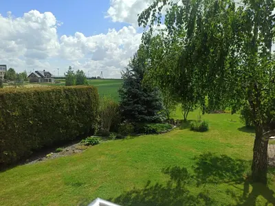 a green yard with a tree and a field at ZŁOTA PASIEKA Zator Przeciszów in Przeciszów