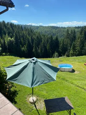 an umbrella sitting in the grass next to a pool at Apartament w górach Gorce in Nowy Targ