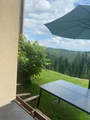 a picnic table with an umbrella in a field at Apartament w górach Gorce in Nowy Targ