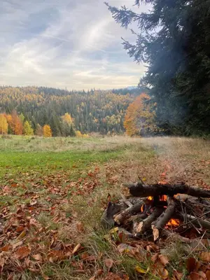 a bonfire in a field with trees in the background at Apartament w górach Gorce in Nowy Targ