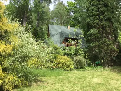 a green house in the middle of a garden at Domek w Lesie in Łęki