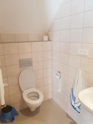 a small bathroom with a toilet and a sink at Na Zakręcie in Ochotnica Górna