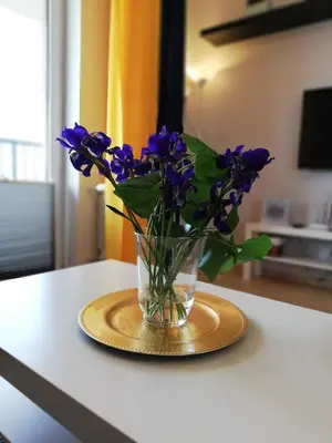 a vase filled with purple flowers on a table at Froja in Zator
